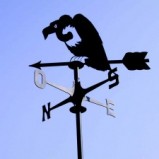 Falconi e avvoltoi/2