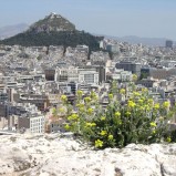 Il 7 e l’8 giugno ad Atene si terrà l’Alter Summit