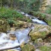 Rifondazione Ccomunista