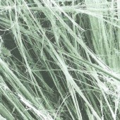 Rifondazione Ccomunista