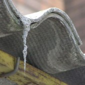 Rifondazione Ccomunista