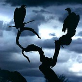 Rifondazione Ccomunista