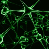 Rifondazione Ccomunista