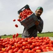 Rifondazione Ccomunista
