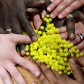 Rifondazione Ccomunista